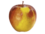 Apple Ambrotia