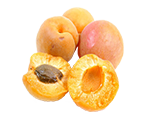 Apricot