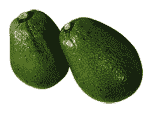 Avocado