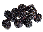 Black Berry