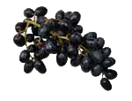 Grapes Black