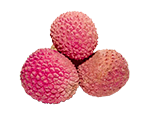 Lychee