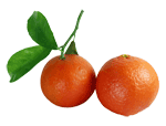 Orange Mandarin