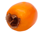 Persimmon