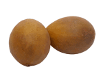 Sapodilla