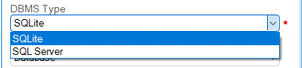 Database Management System Type